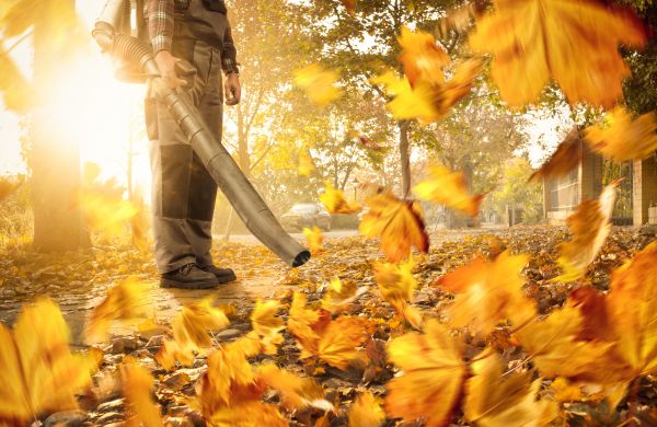 Cost of Leaf Blowing Service in Petaluma