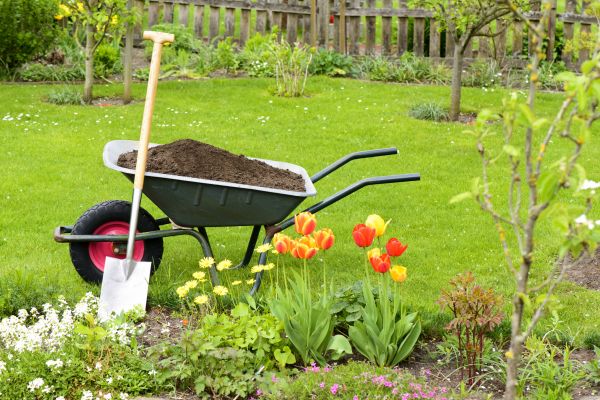 Cost of Spring Yard Cleanup in Petaluma
