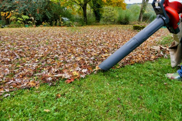 Cost of Leaves Vacuuming in Petaluma
