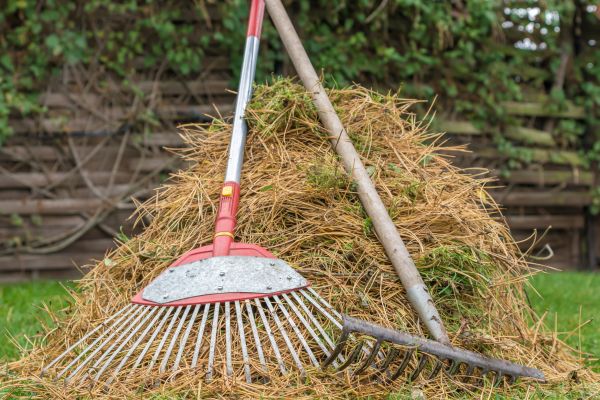 Cost of Pine Straw Clearing in Petaluma