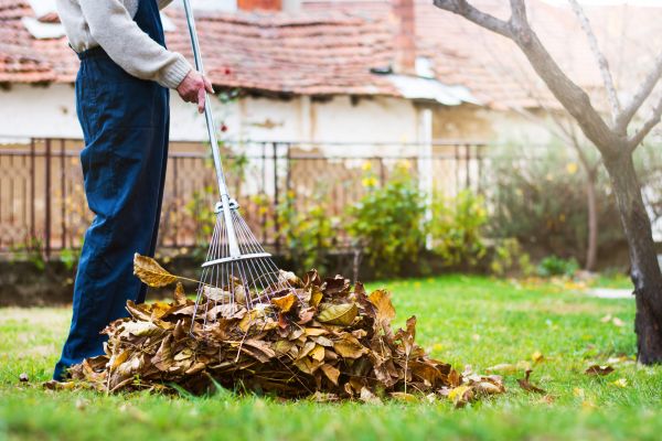 Cost of Spring Lawn Cleanup in Petaluma