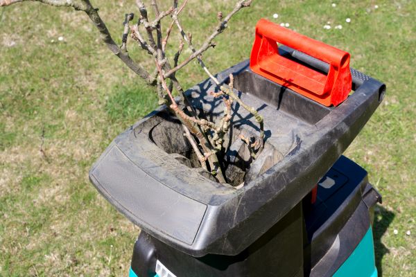 Cost of Brush Cleanup Service in Petaluma