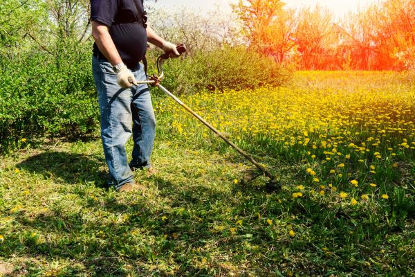 Cost of Yard Clearing Service in Petaluma