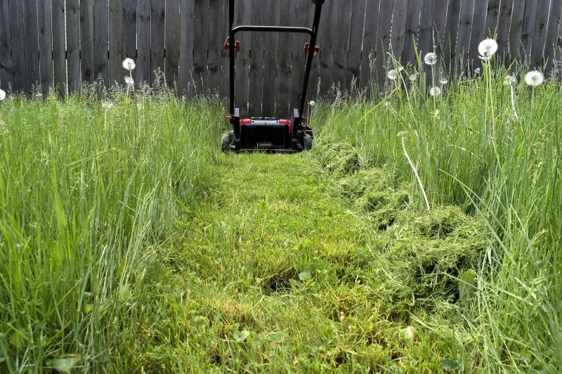 Grass Trimming