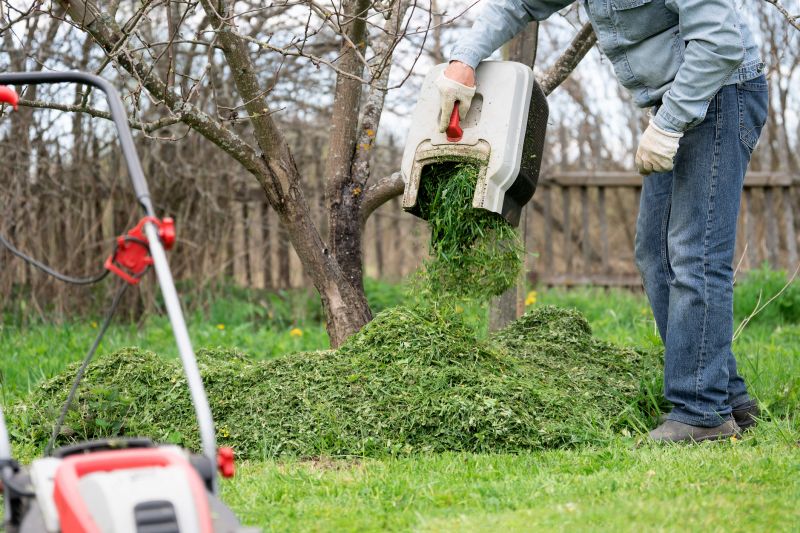 Spring Lawn Cleanup detail