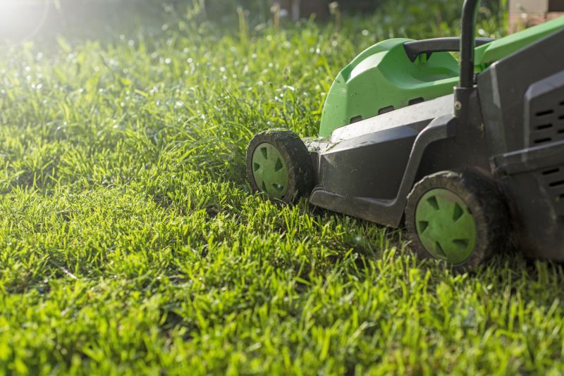 Seasonal Lawn Maintenance