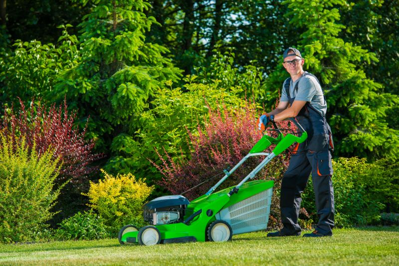 Customized Lawn Clean Up Plans