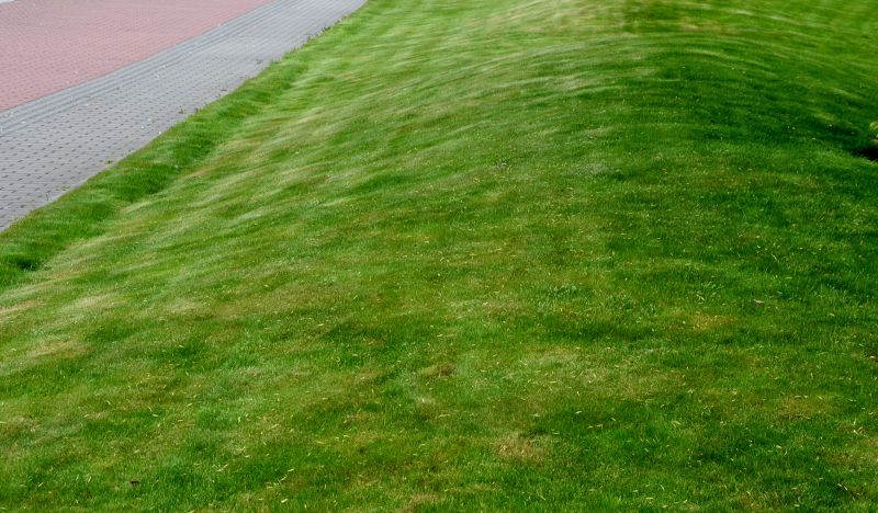 Experienced Lawn Care Professionals