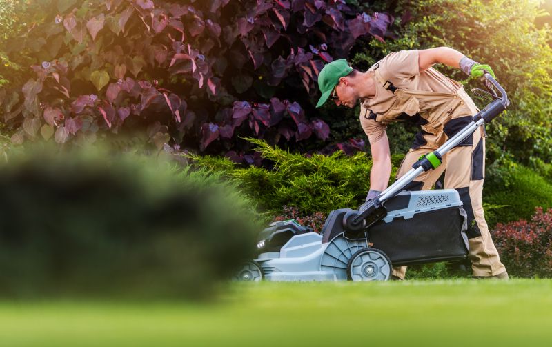Full-Service Landscaping Companies