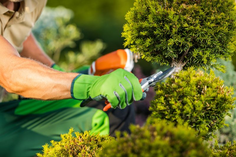 Garden and Tree Service Providers
